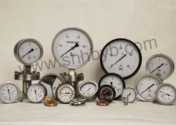 慧邦儀表（上海）有限公司：工業(yè)自動(dòng)化儀表領(lǐng)域的佼佼者