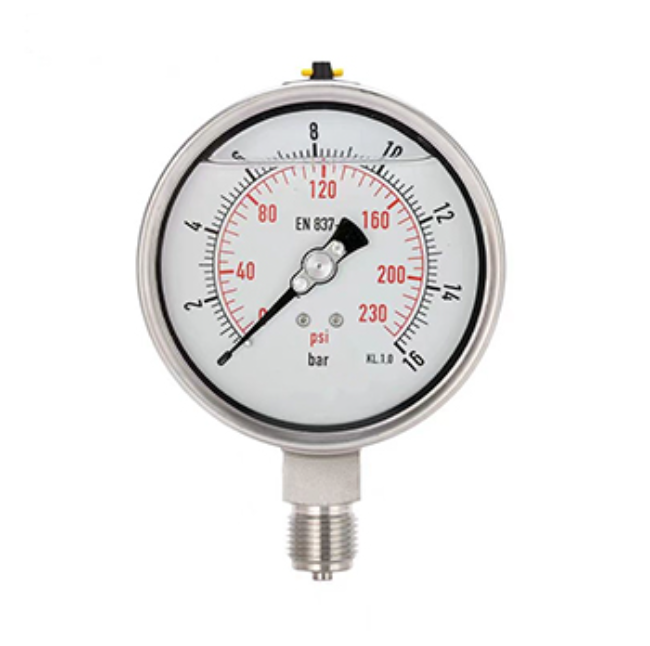 不銹鋼耐振壓力表